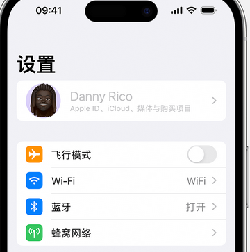 噶尔appleID维修服务iPhone设置中Apple ID显示为灰色无法使用 