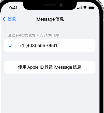 噶尔apple维修iPhone上无法正常发送iMessage信息 