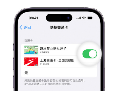 噶尔apple维修点分享iPhone上更换Apple Pay快捷交通卡手绘卡面 