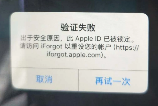 噶尔iPhone维修分享iPhone上正常登录或使用AppleID怎么办 