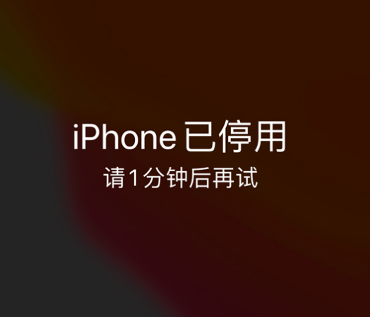 噶尔苹果手机维修分享:iPhone 显示“不可用”或“已停用”怎么办？还能保留数据吗？ 