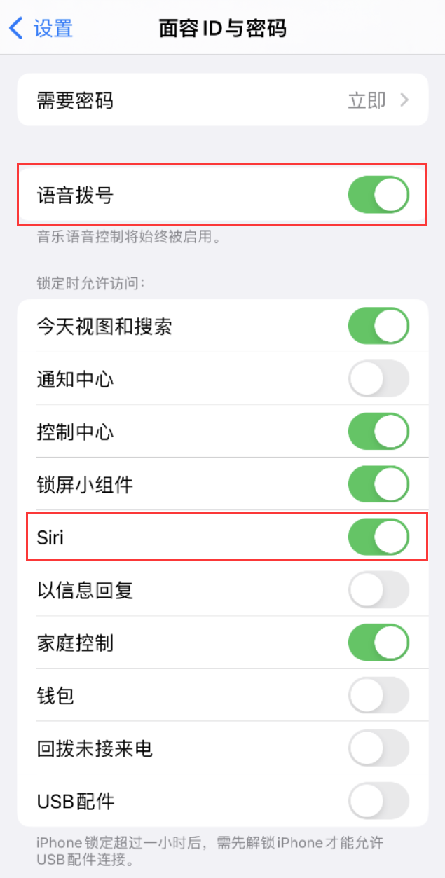 噶尔苹果维修网点分享不解锁 iPhone 的情况下通过 Siri 拨打电话的方法 