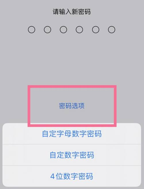 噶尔苹果14维修分享iPhone 14plus设置密码的方法 