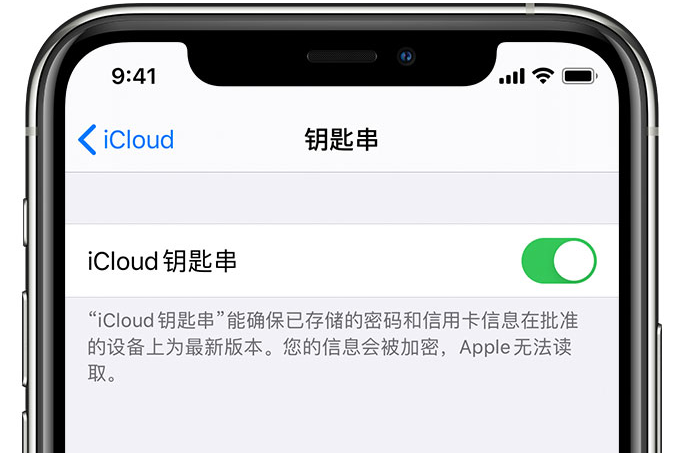 噶尔苹果手机维修分享在 iPhone 上开启 iCloud 钥匙串之后会储存哪些信息 