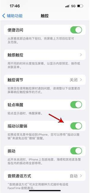 噶尔苹果手机维修分享iPhone手机如何设置摇一摇删除文字 