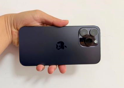 噶尔苹果维修点分享iPhone 14 Pro Max黑屏少见故障盘点 